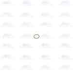 Atlas Copco Part 0663210667 | O-Ring 15.1X1.6