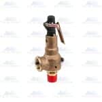 Hankison Part 3100938 | Relief Valve, 165PSIG, 3/4"x1"NPT-M/F
