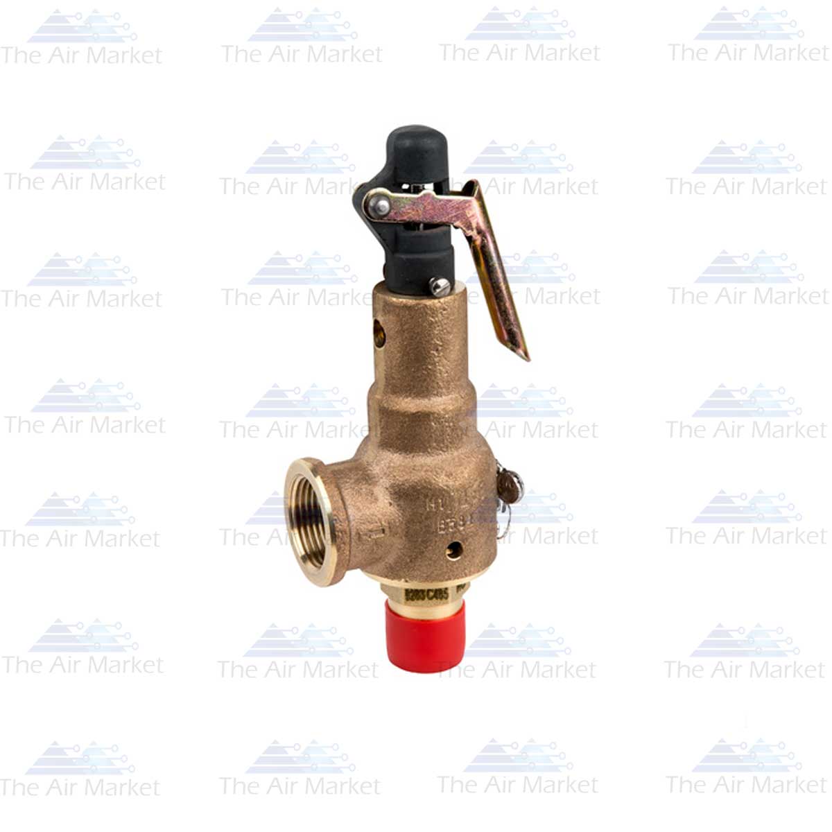 3100938-TAM Hankison Part 3100938 | Relief Valve, 165PSIG, 3/4"x1"NPT-M/F - Image 1