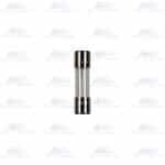 Hankison Part 5002932 | Fuse, 250mA, 250V