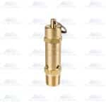 Hankison Part 7400684 | Relief Valve, 165PSIG, 1/2"NPT-M